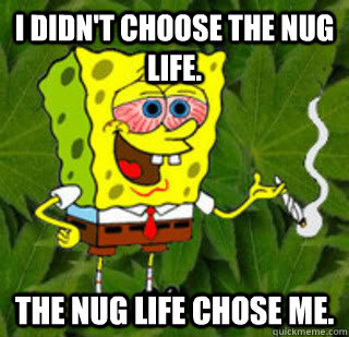 I didn't choose the nug life. the nug life chose me.  sponge