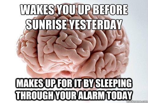 WAKES YOU UP BEFORE SUNRISE YESTERDAY MAKES UP FOR IT BY SLEEPING THROUGH YOUR ALARM TODAY  Scumbag Brain