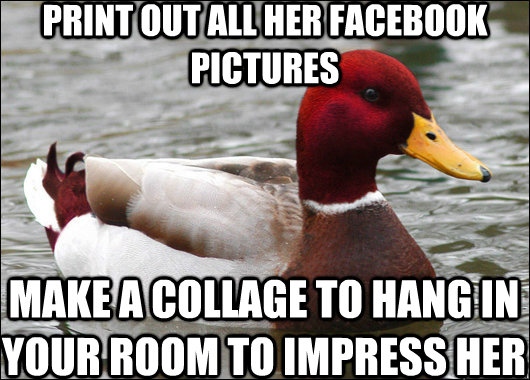 print out all her facebook pictures make a collage to hang in your room to impress her  Malicious Advice Mallard