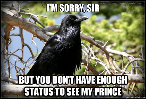 I'm sorry, sir But you don't have enough status to see my Prince  