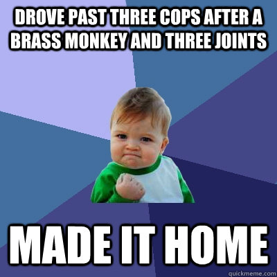 drove past three cops after a brass monkey and three joints Made it home  Success Kid