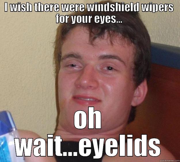 windshield wiper eyelids - I WISH THERE WERE WINDSHIELD WIPERS FOR YOUR EYES... OH WAIT...EYELIDS 10 Guy