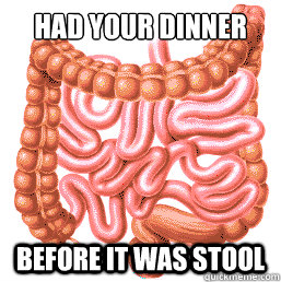 had your dinner before it was stool - had your dinner before it was stool  Hipster Large Intestine