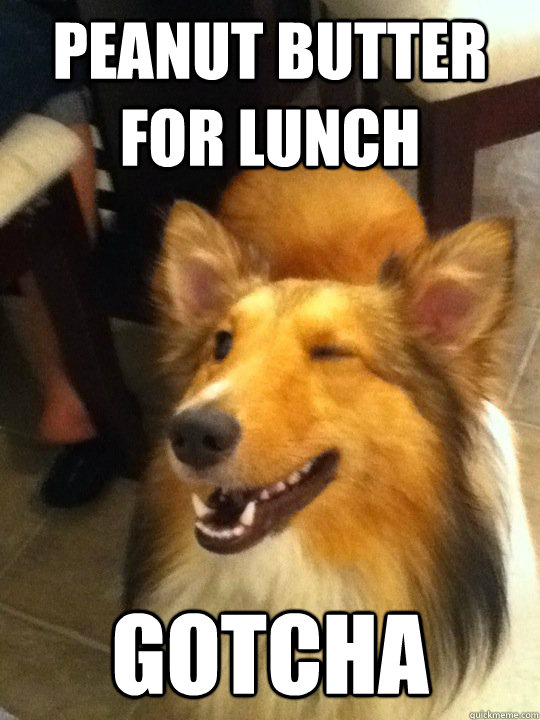 peanut butter for lunch Gotcha  implying dog