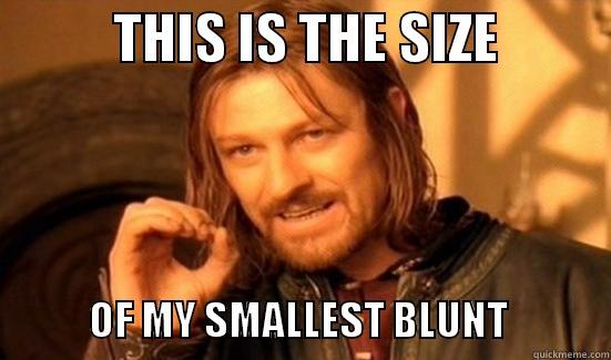           THIS IS THE SIZE                       OF MY SMALLEST BLUNT             Boromir