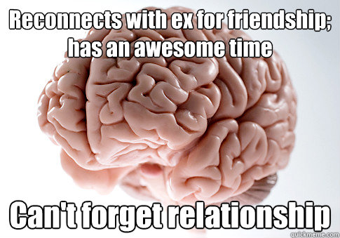 Reconnects with ex for friendship; has an awesome time Can't forget relationship  Scumbag Brain