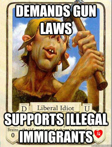 demands gun laws supports illegal immigrants - demands gun laws supports illegal immigrants  Liberal Logic