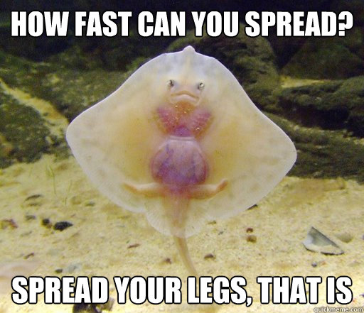 How fast can you spread? Spread your legs, that is - How fast can you spread? Spread your legs, that is  Forensics Pick-Up Line Fish