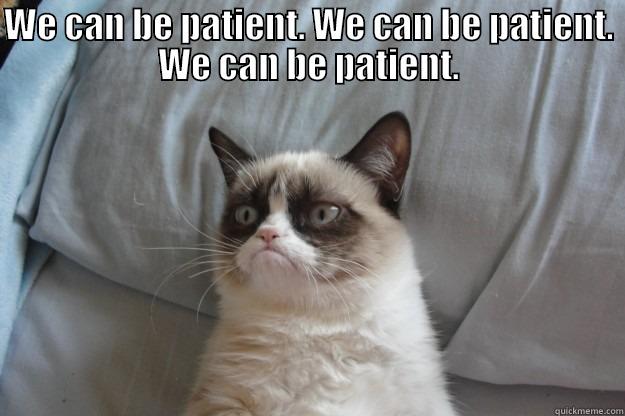 patience my young one - WE CAN BE PATIENT. WE CAN BE PATIENT. WE CAN BE PATIENT.  Grumpy Cat