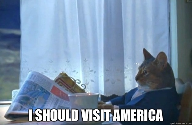  I should visit america -  I should visit america  Sophisticated Cat