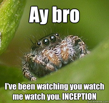 Ay bro I've been watching you watch me watch you. INCEPTION - Ay bro I've been watching you watch me watch you. INCEPTION  Misunderstood Spider