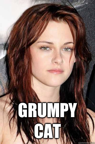  Grumpy cat  Kristen Stewart