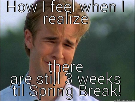 HOW I FEEL WHEN I REALIZE THERE ARE STILL 3 WEEKS 'TIL SPRING BREAK! 1990s Problems
