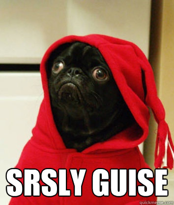  srsly guise -  srsly guise  Serious Pug