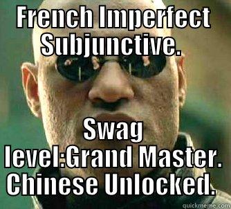 FRENCH IMPERFECT SUBJUNCTIVE.  SWAG LEVEL:GRAND MASTER. CHINESE UNLOCKED.  Matrix Morpheus