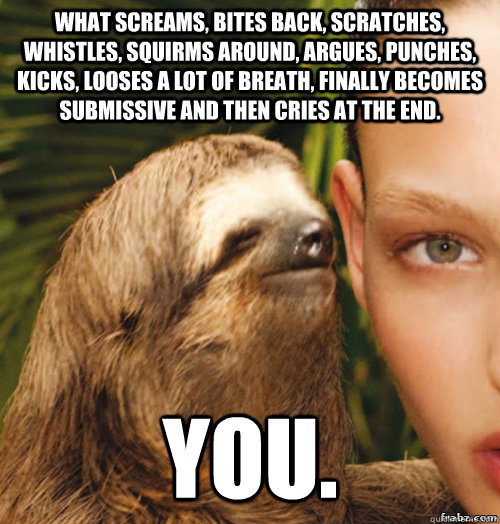 What screams, bites back, scratches, whistles, squirms around, argues, punches, kicks, looses a lot of breath, finally becomes submissive and then cries at the end. You.  rape sloth