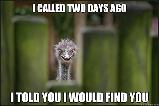 I Called two days ago i told you i would find you  Peeping Ostrich