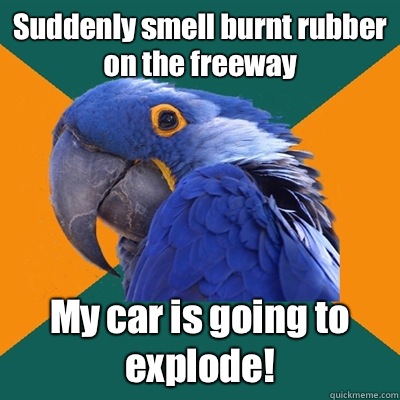Suddenly smell burnt rubber on the freeway My car is going to explode!  Paranoid Parrot