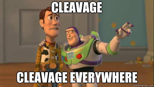 cleavage cleavage everywhere  Everywhere