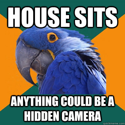 House Sits Anything could be a hidden camera  Paranoid Parrot