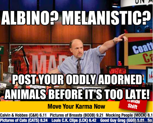 Albino? Melanistic? 
 Post your oddly adorned animals before it's too late! - Albino? Melanistic? 
 Post your oddly adorned animals before it's too late!  Mad Karma with Jim Cramer