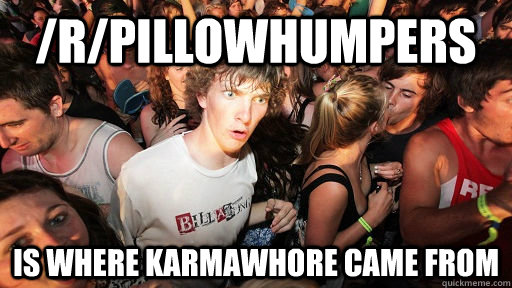/r/pillowhumpers Is where karmawhore came from  Sudden Clarity Clarence