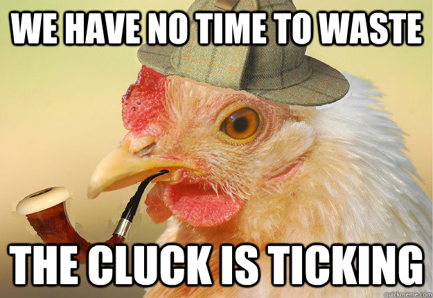 we have no time to waste the cluck is ticking   