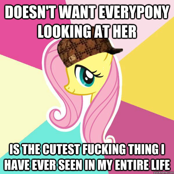 Doesn't want everypony looking at her Is the cutest fucking thing i have ever seen in my entire life - Doesn't want everypony looking at her Is the cutest fucking thing i have ever seen in my entire life  Scumbag Fluttershy