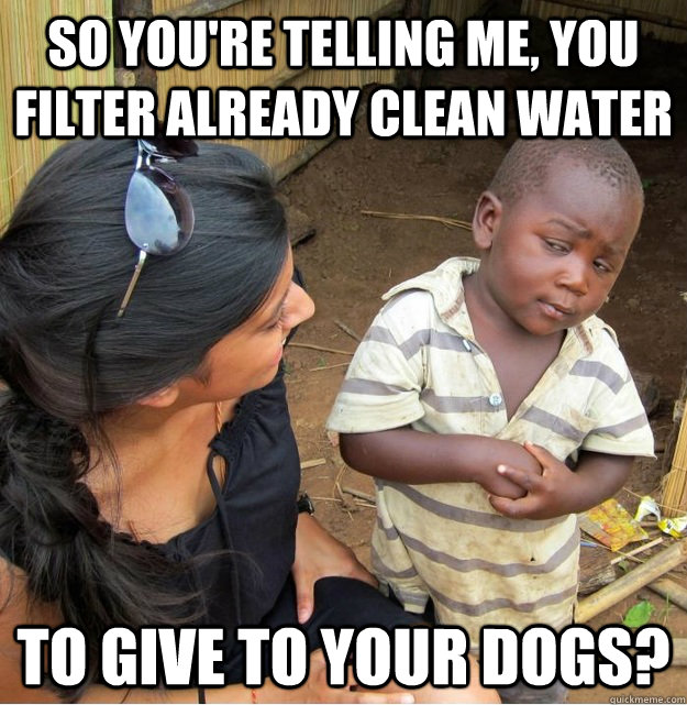 So You're telling me, you filter already clean water to give to your dogs? - So You're telling me, you filter already clean water to give to your dogs?  Skeptical Third World Kid