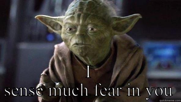  I SENSE MUCH FEAR IN YOU True dat, Yoda.