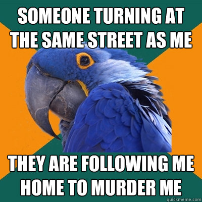 Someone turning at the same street as me They are following me home to murder me  Paranoid Parrot