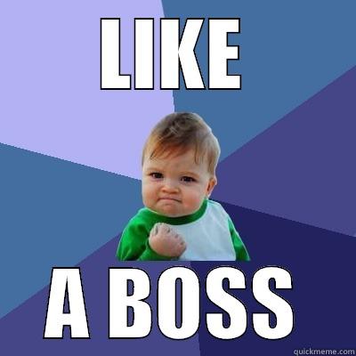 LIKE A BOSS Success Kid