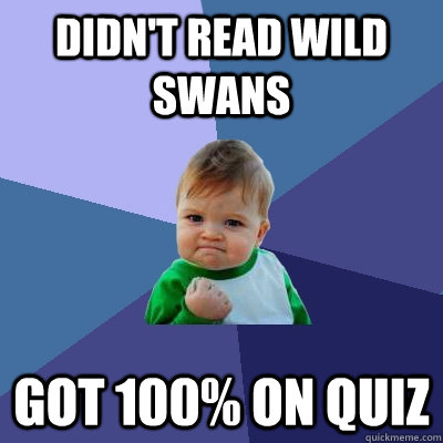 Didn't read wild swans got 100% on quiz - Didn't read wild swans got 100% on quiz  Success Kid