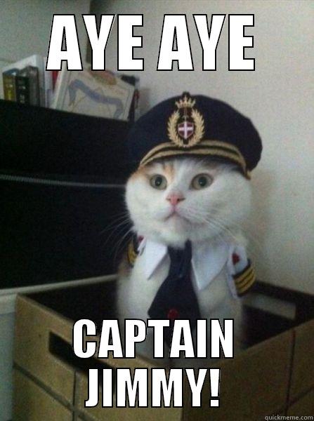 AYE AYE CAPTAIN JIMMY! Captain kitteh