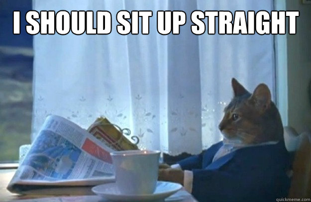 i should sit up straight - i should sit up straight  Sophisticated Cat