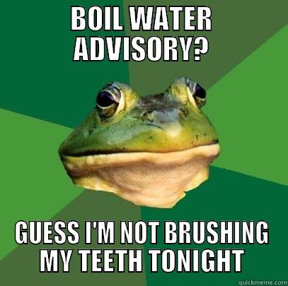 BOIL WATER ADVISORY? GUESS I'M NOT BRUSHING MY TEETH TONIGHT Foul Bachelor Frog