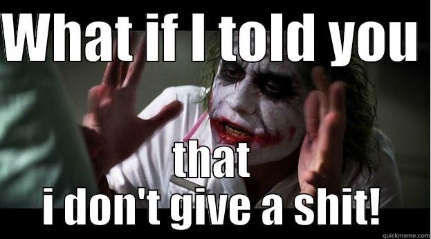 WHAT IF I TOLD YOU  THAT I DON'T GIVE A SHIT! Joker Mind Loss
