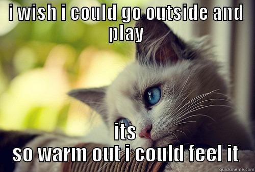 I WISH I COULD GO OUTSIDE AND PLAY ITS SO WARM OUT I COULD FEEL IT First World Problems Cat