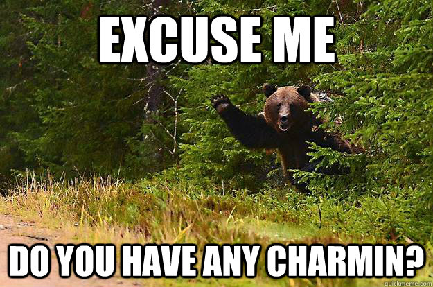 excuse me do you have any charmin?  