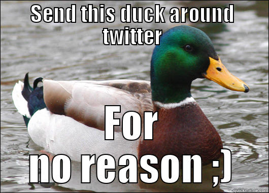 SEND THIS DUCK AROUND TWITTER FOR NO REASON ;) Actual Advice Mallard