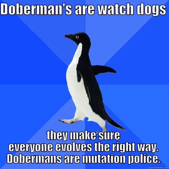 DOBERMAN'S ARE WATCH DOGS  THEY MAKE SURE EVERYONE EVOLVES THE RIGHT WAY. DOBERMANS ARE MUTATION POLICE. Socially Awkward Penguin