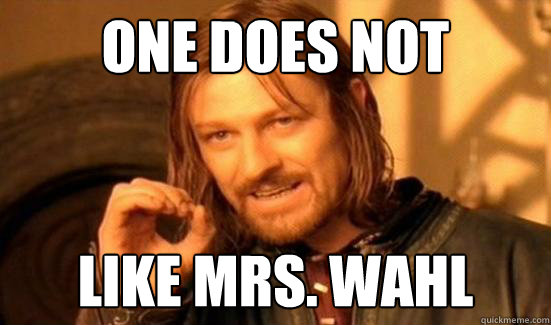 One Does Not Simply Like Mrs. Wahl  Boromir