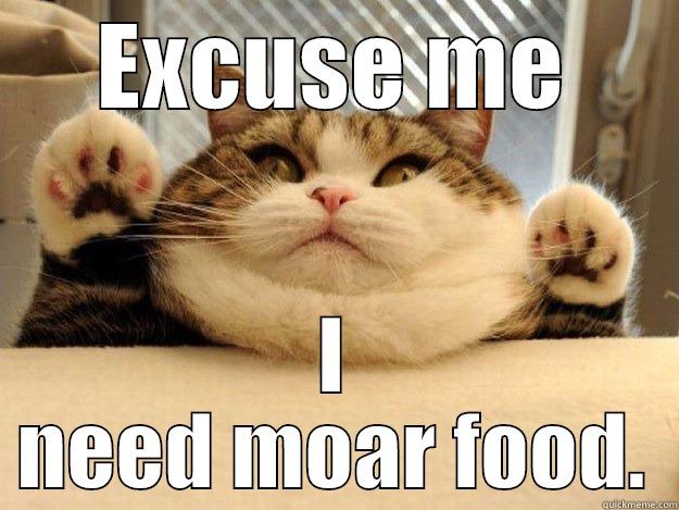Cat Food - EXCUSE ME I NEED MOAR FOOD. Success Kid
