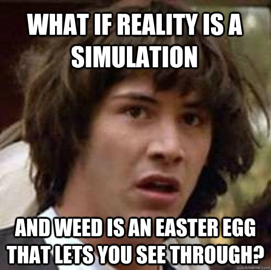 what if reality is a simulation and weed is an easter egg that lets you see through?  conspiracy keanu