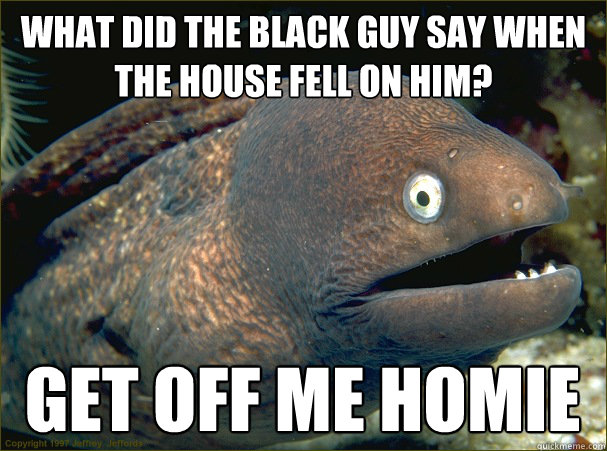 What did the black guy say when the house fell on him? get off me homie  Bad Joke Eel