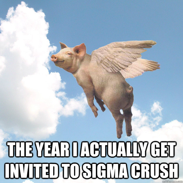  The year i actually get invited to sigma crush  When Pigs Fly