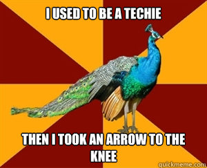 I used to be a techie Then i took an arrow to the knee  