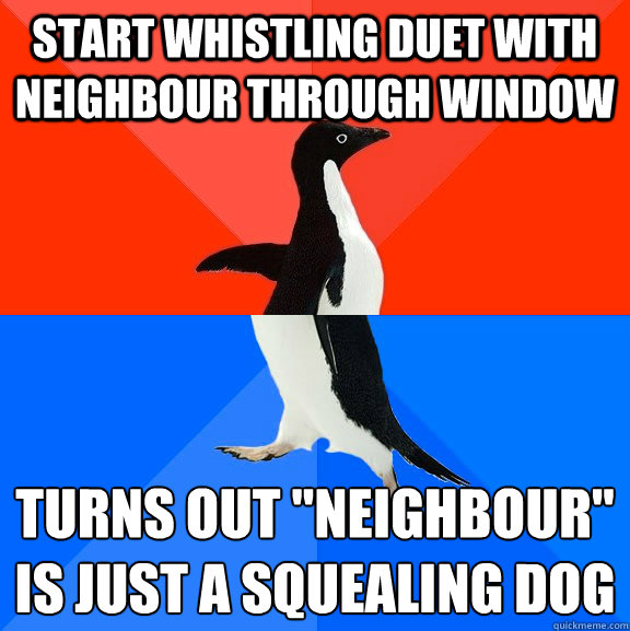 Start whistling duet with neighbour through window  Turns out 