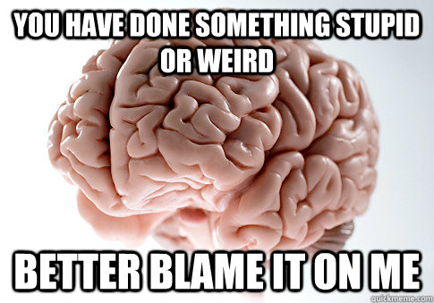 You have done something stupid or weird  better blame it on me  Scumbag Brain