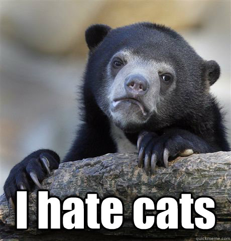  I hate cats  Confession Bear